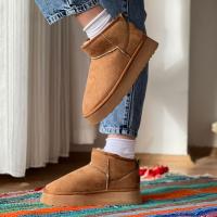 Platform Taban Bot Taba