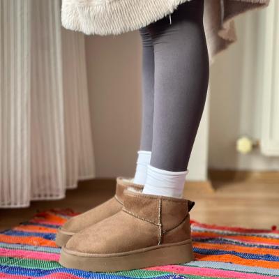 Platform Taban Bot Vizon